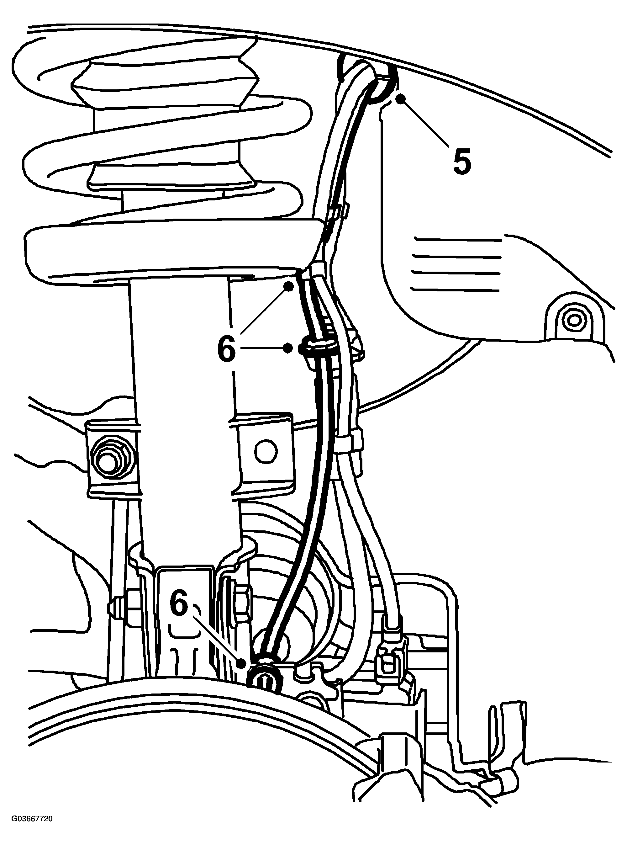 G03667720