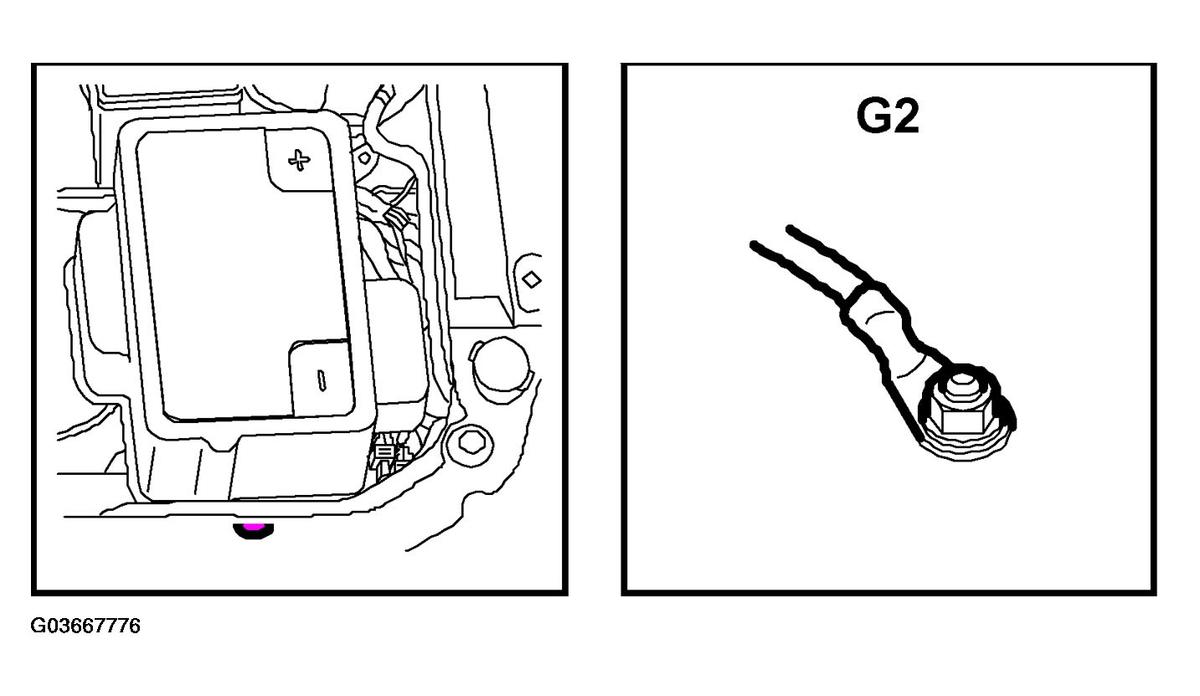 G03667776