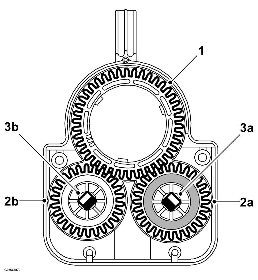 G03667872