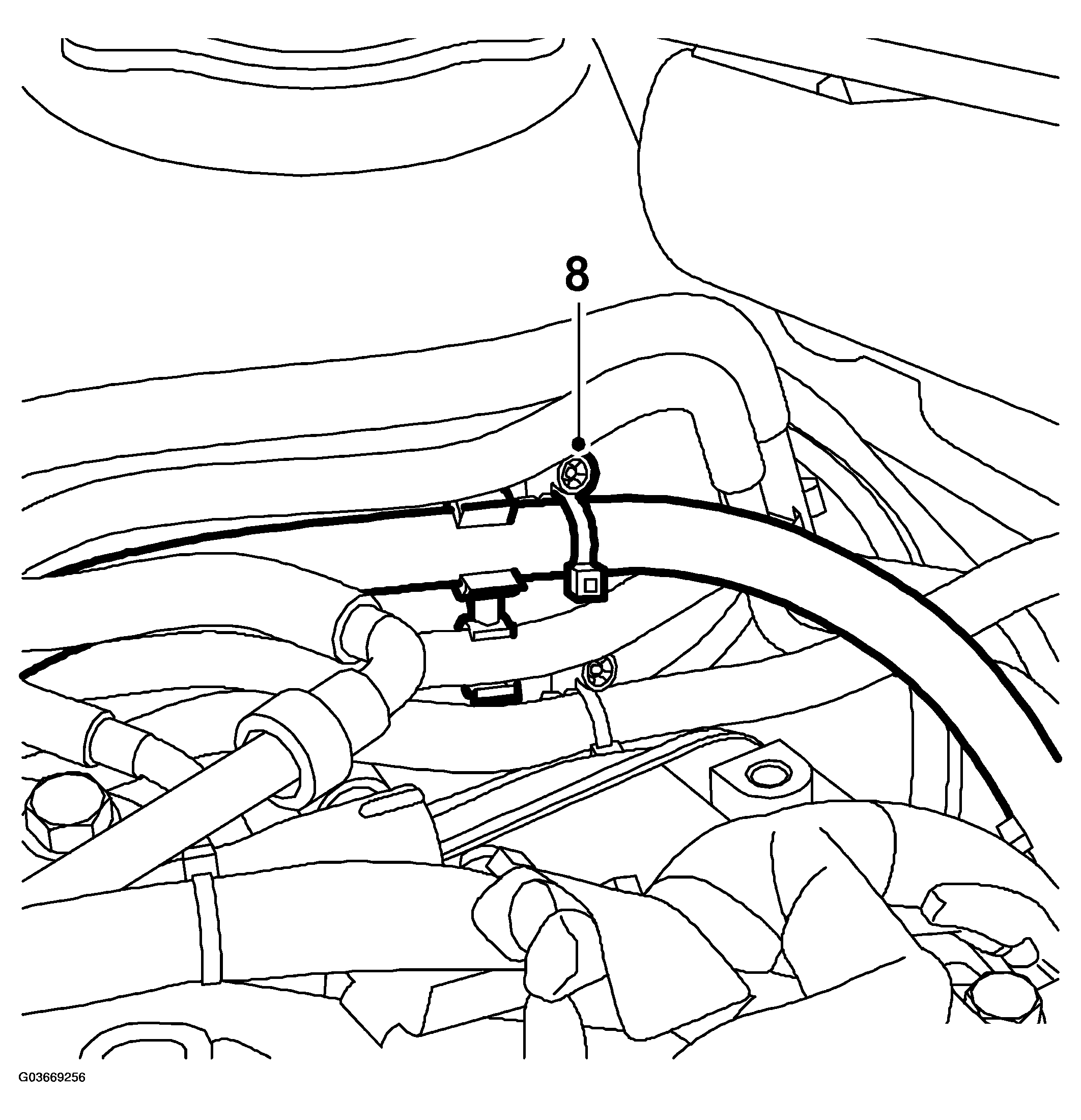 G03669256