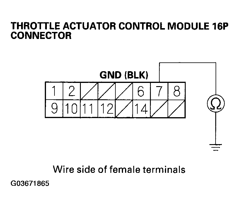 G03671865