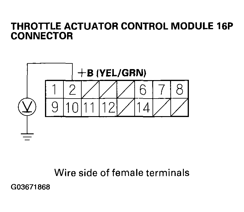 G03671868