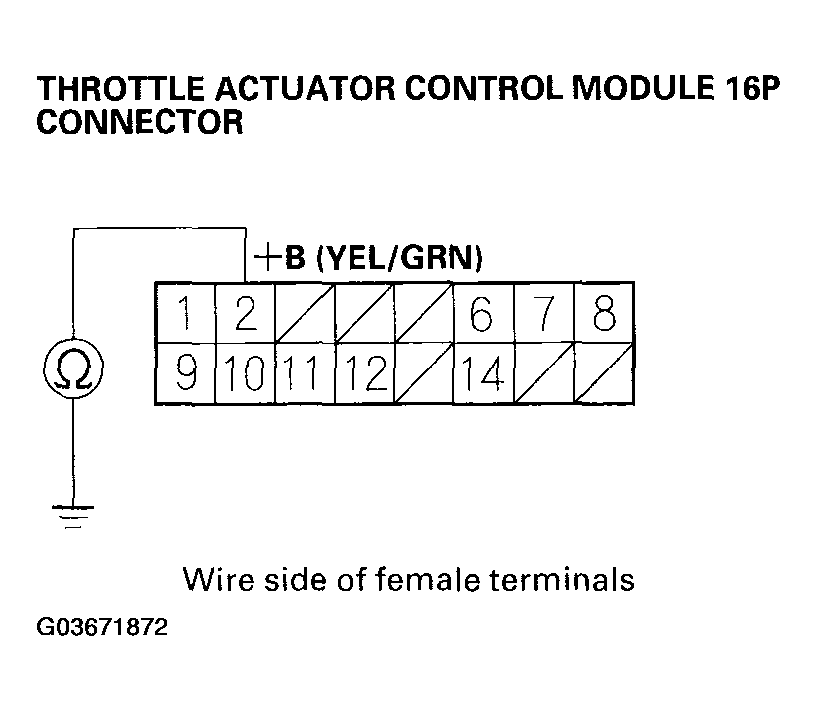 G03671872