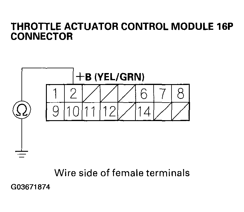 G03671874