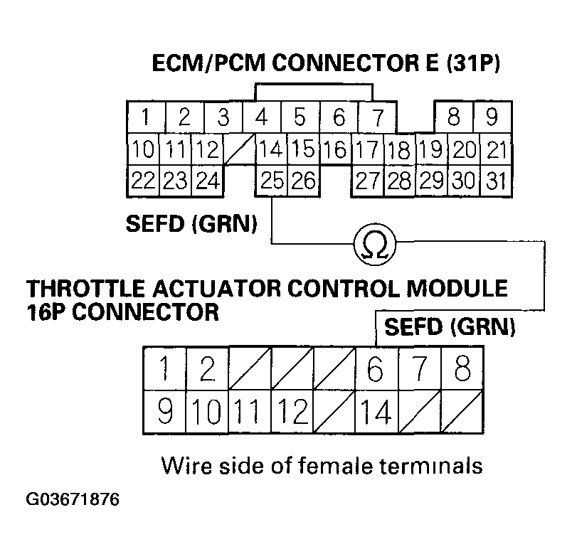 G03671876