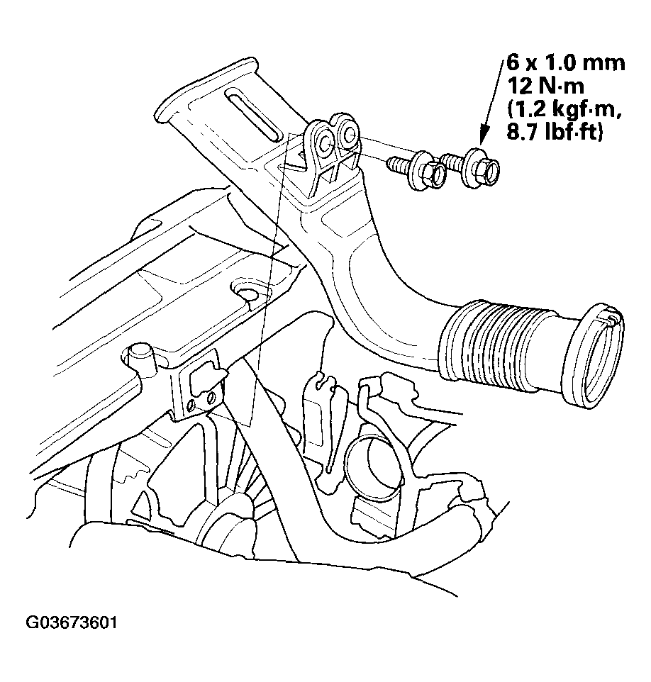 G03673601