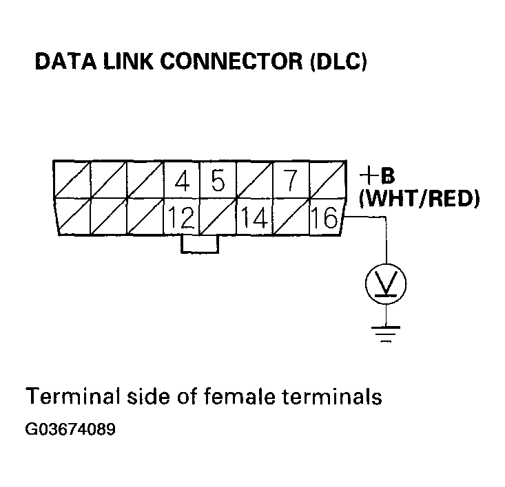 G03674089