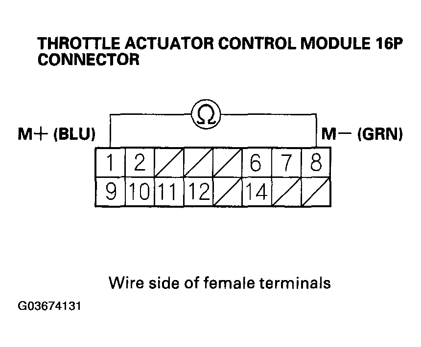G03674131