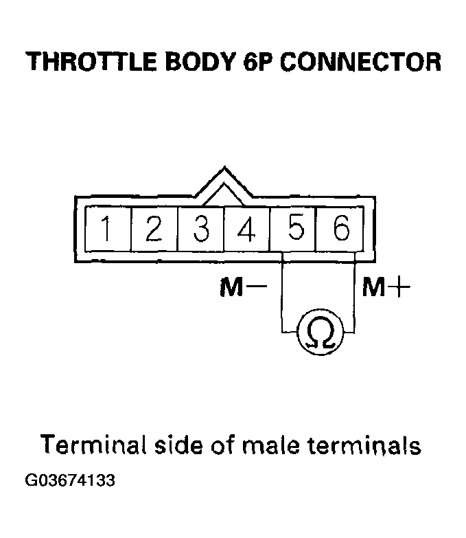 G03674133