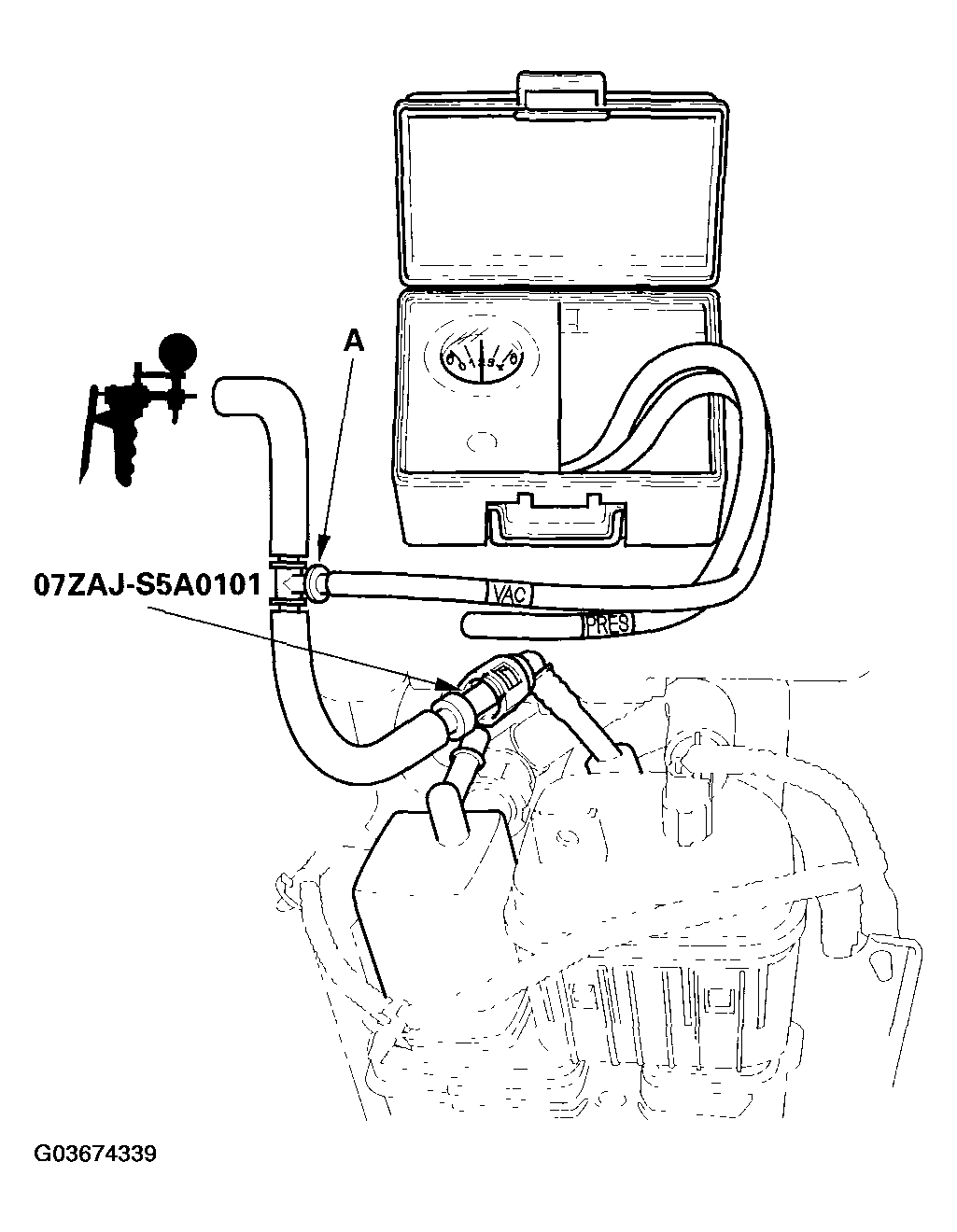 G03674339