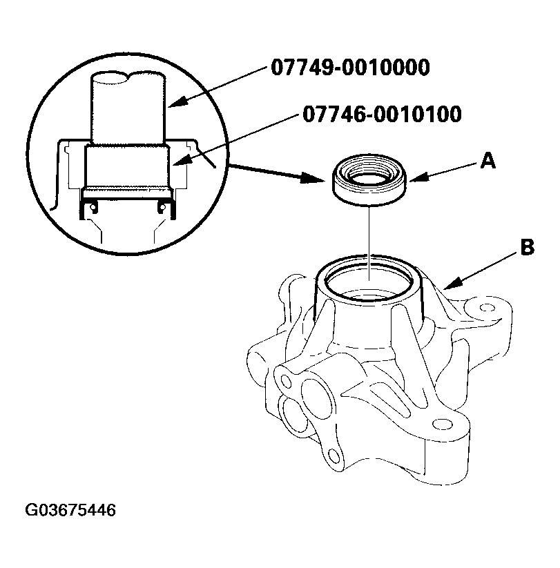 G03675446
