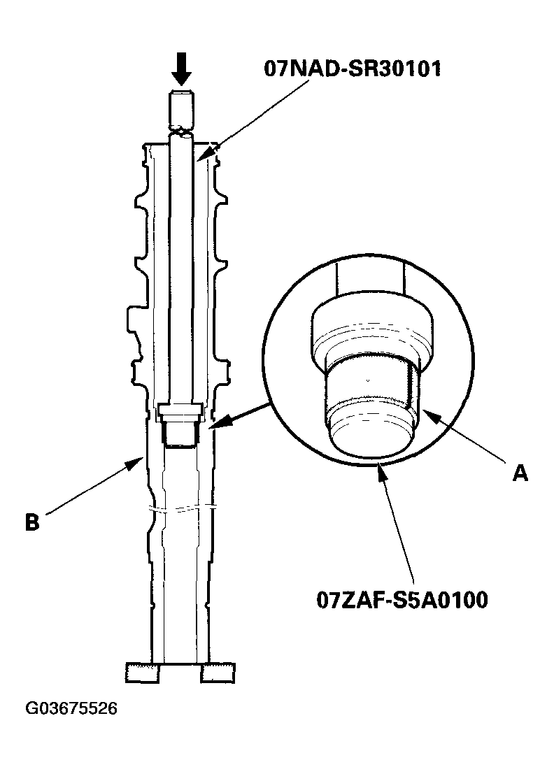 G03675526