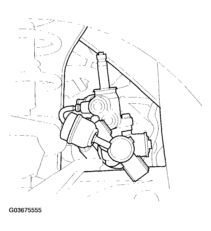 G03675555