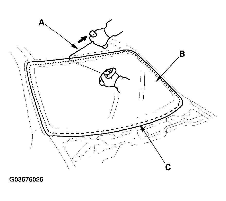G03676026