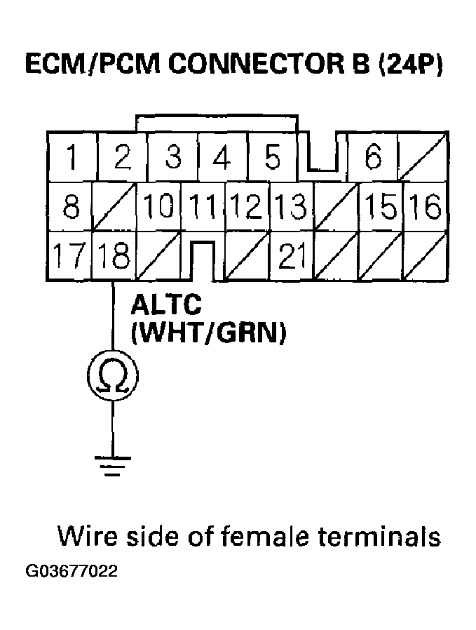 G03677022