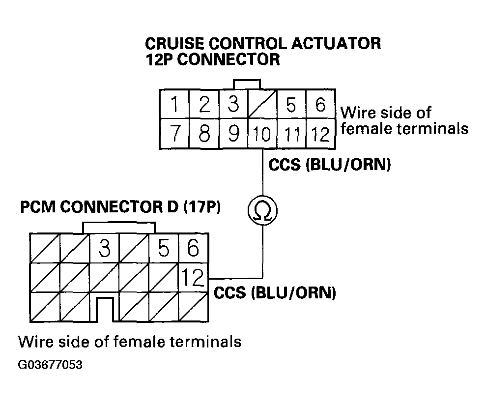 G03677053