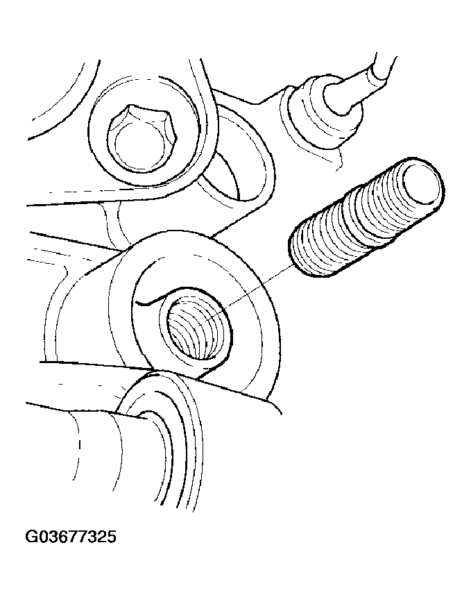 G03677325