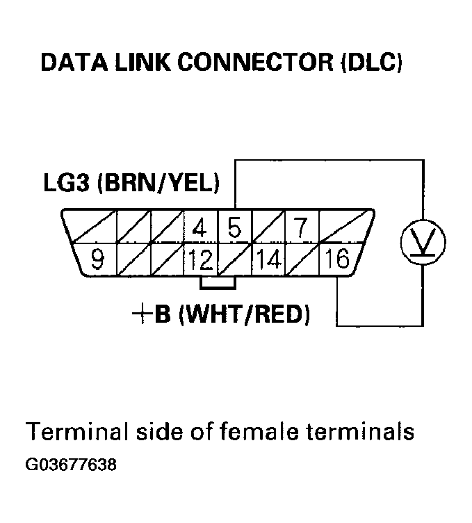G03677638