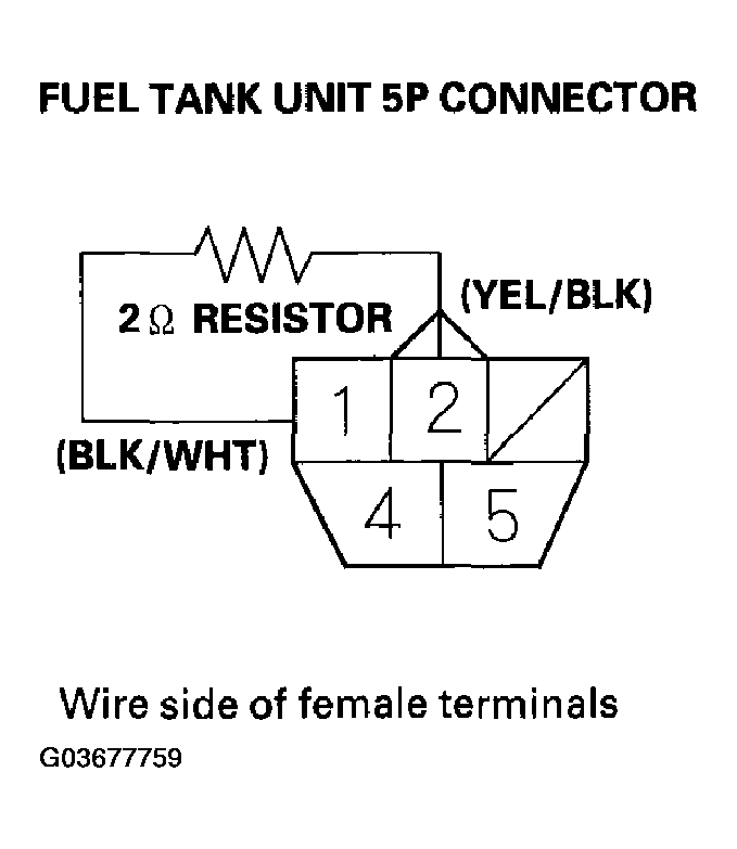 G03677759