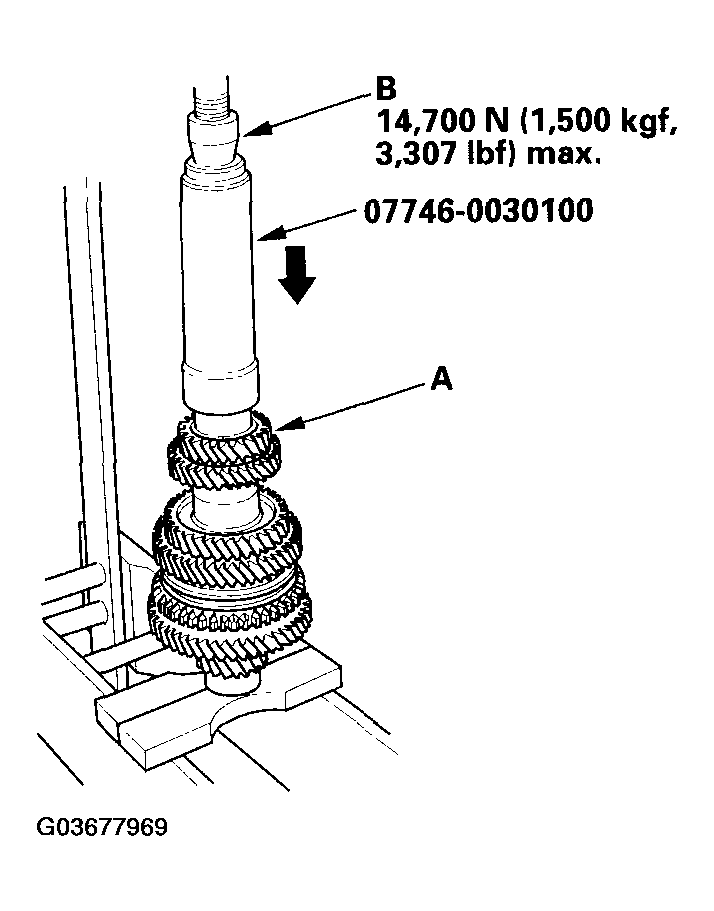 G03677969