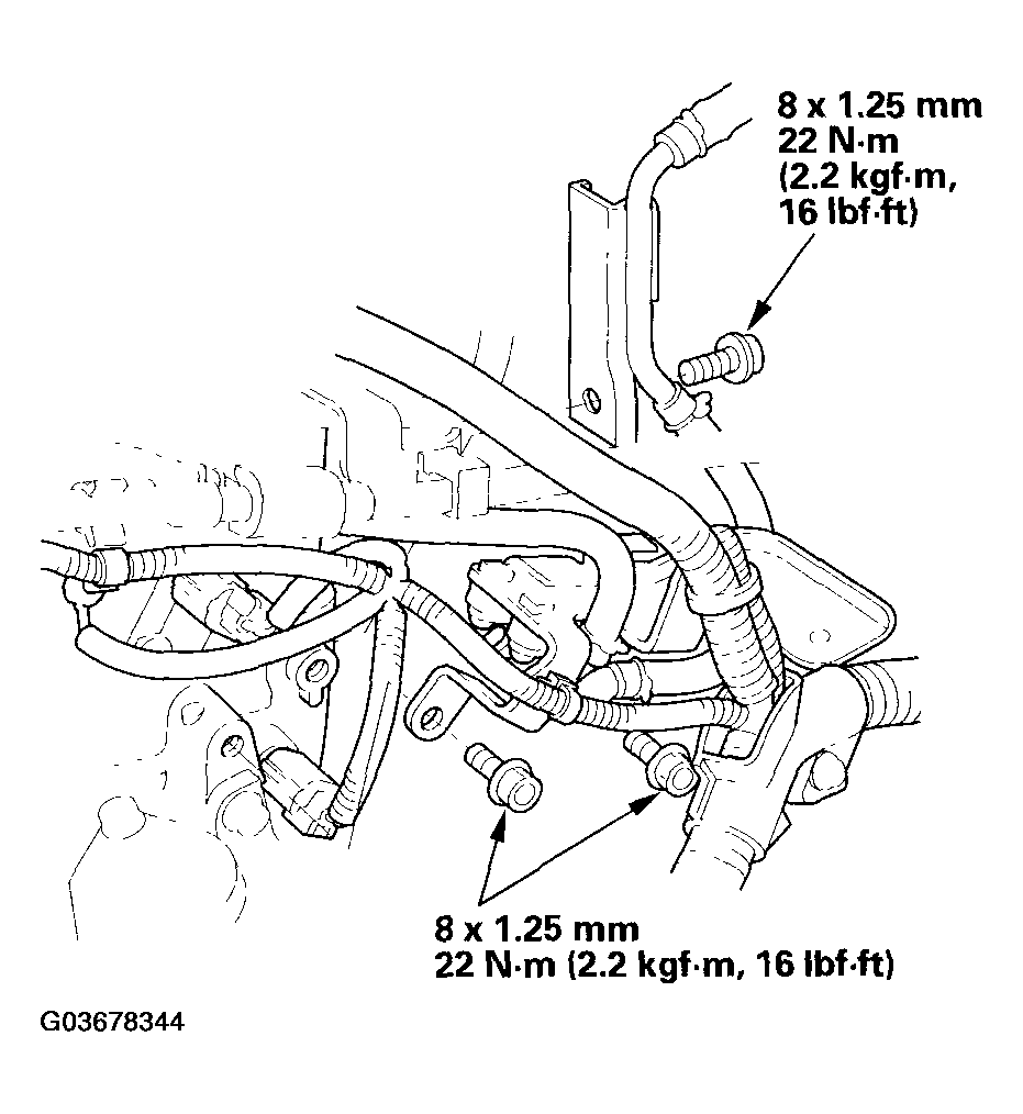 G03678344