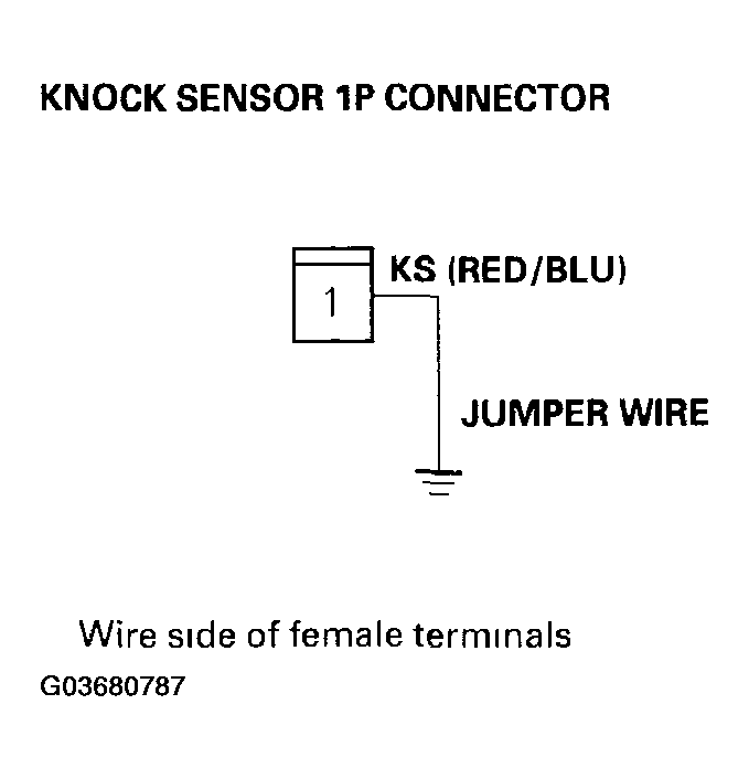 G03680787