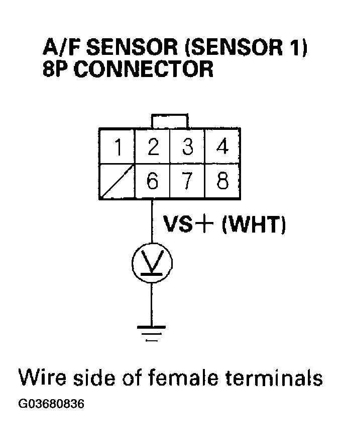 G03680836
