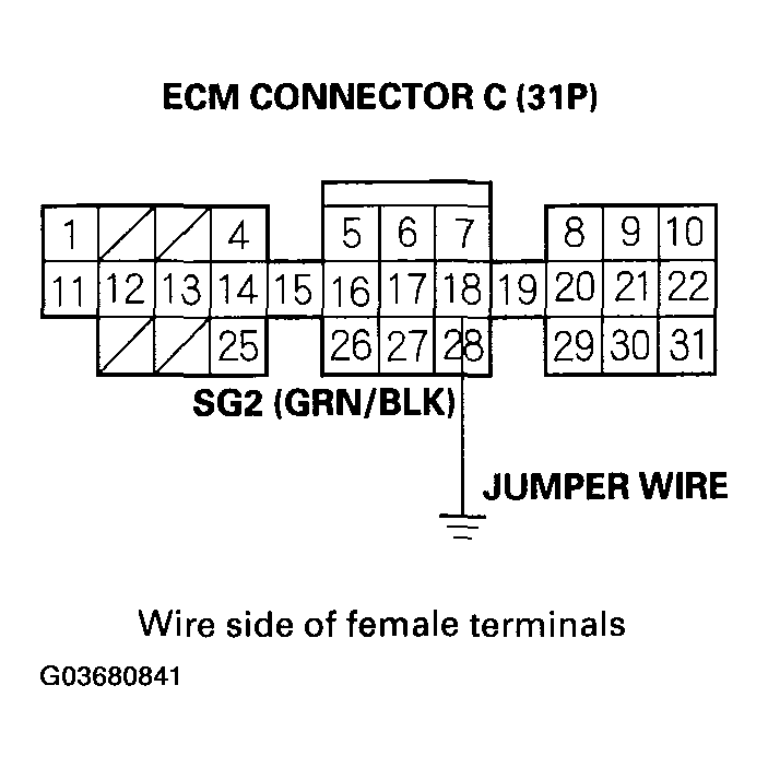 G03680841