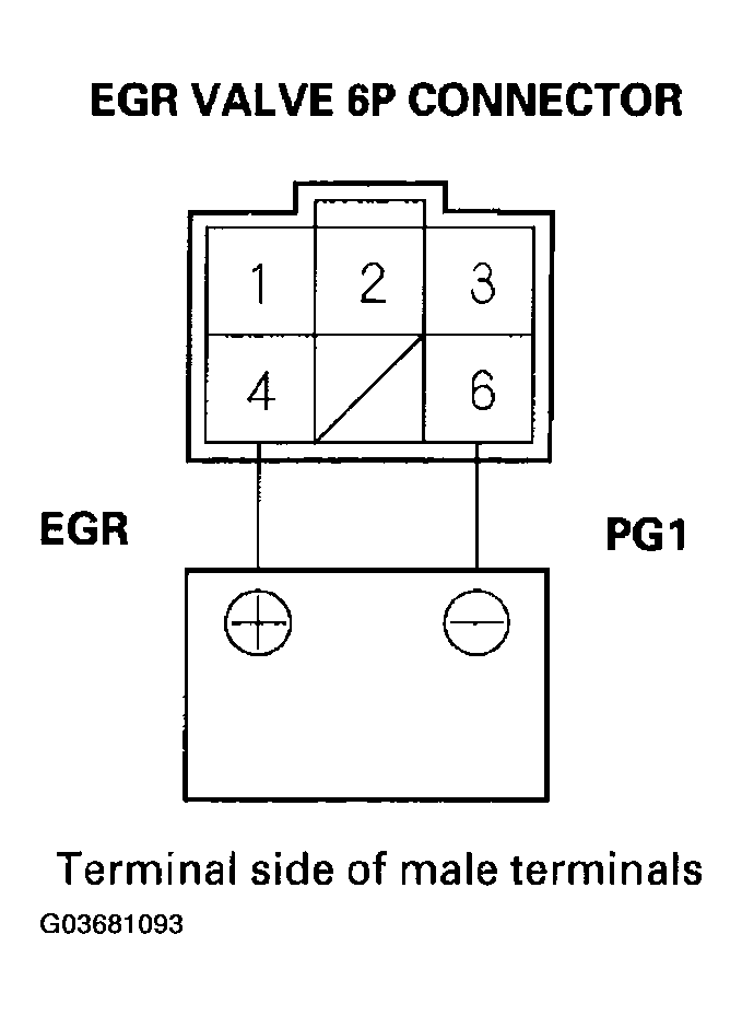 G03681093