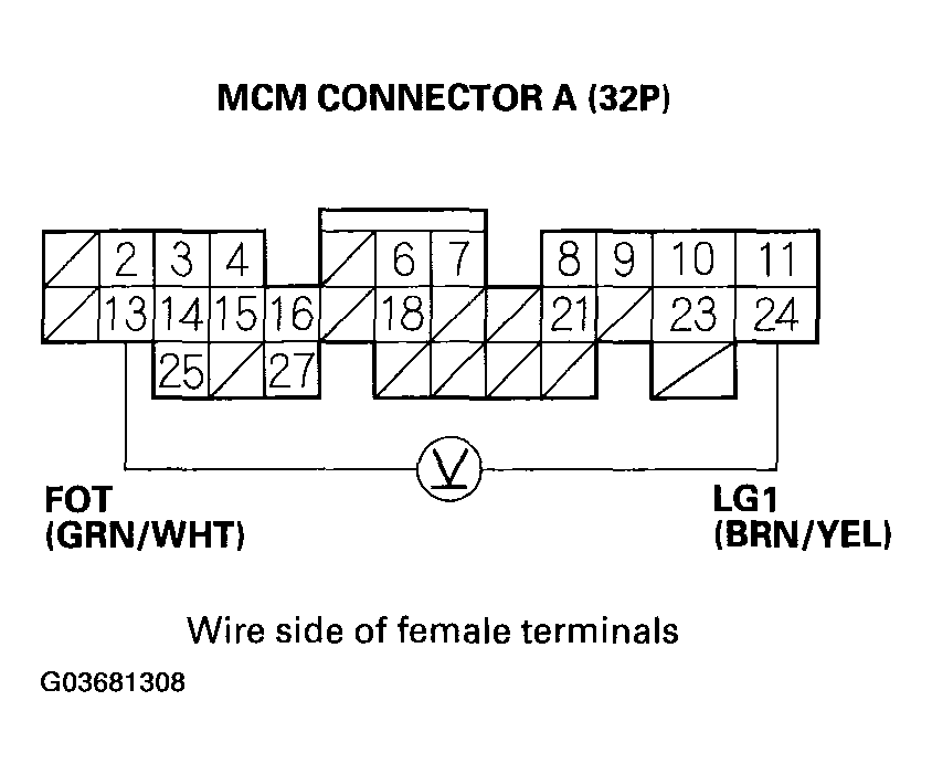 G03681308