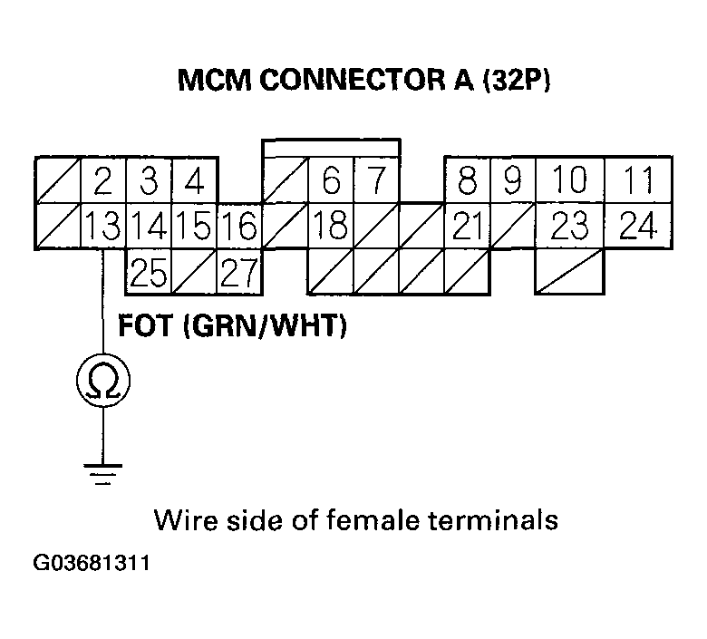 G03681311