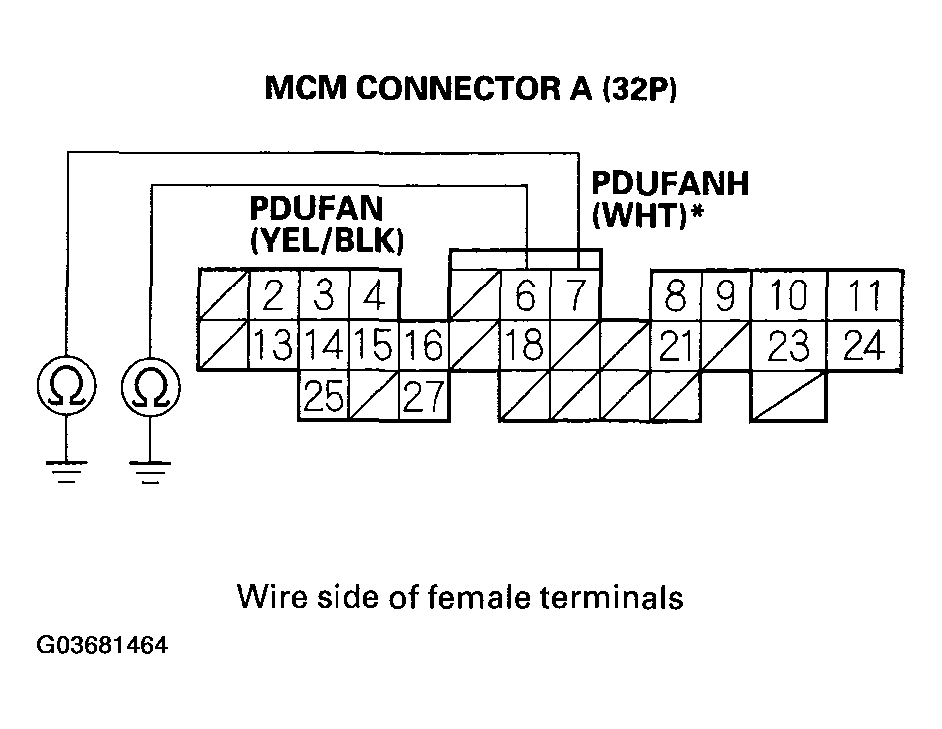 G03681464