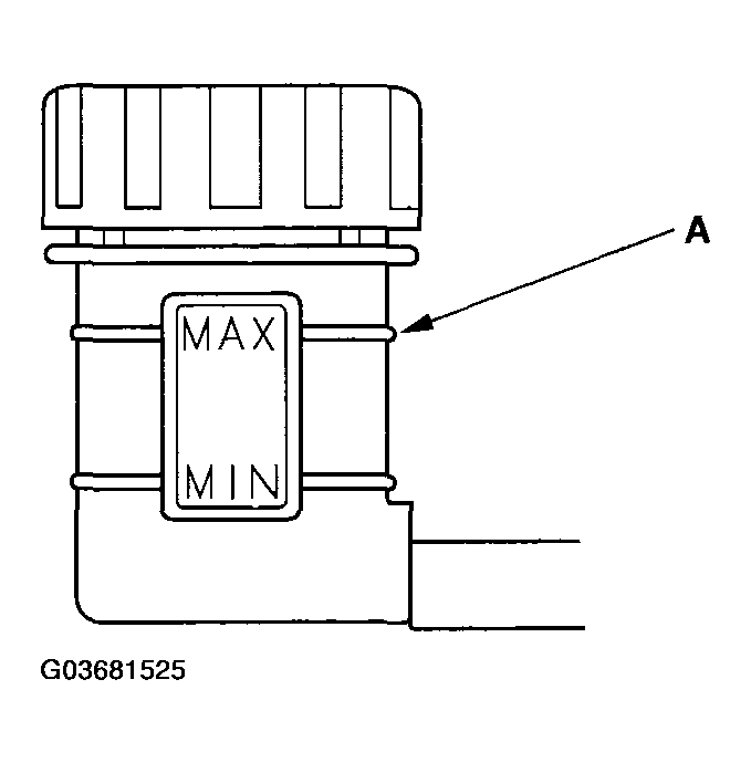G03681525