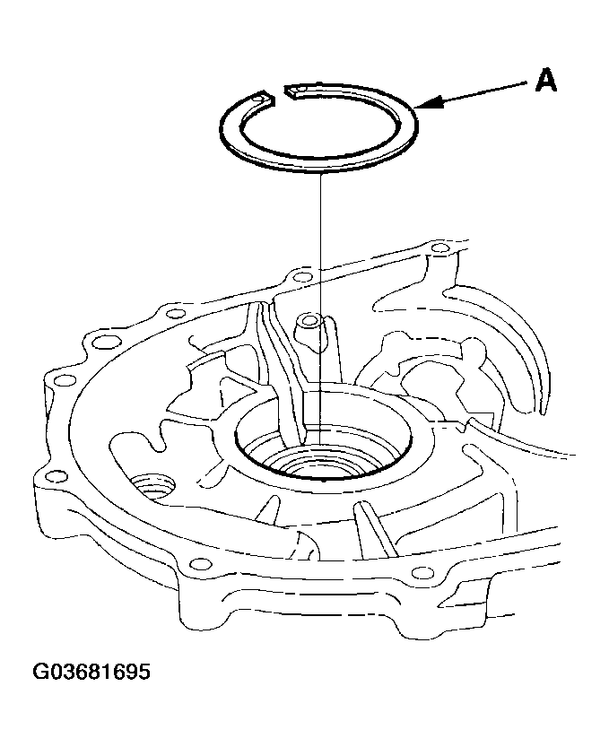 G03681695