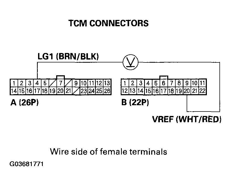 G03681771