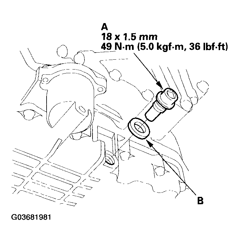 G03681981