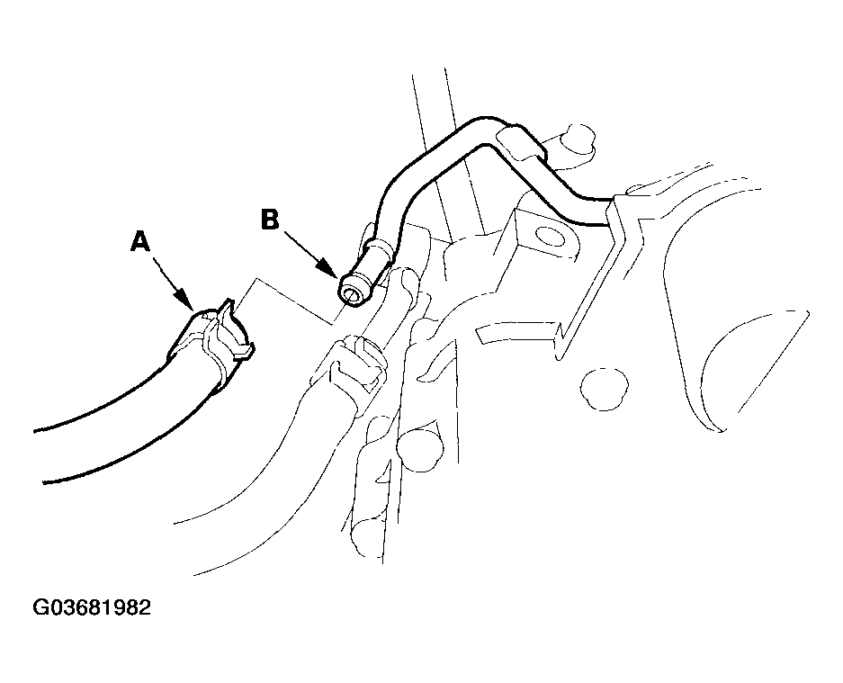 G03681982