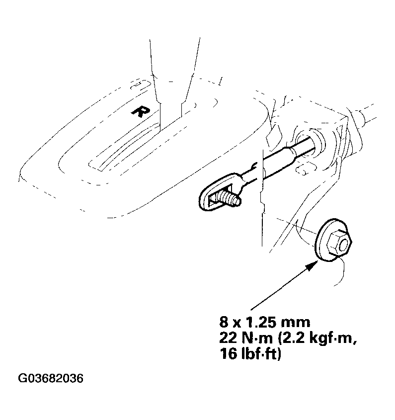 G03682036