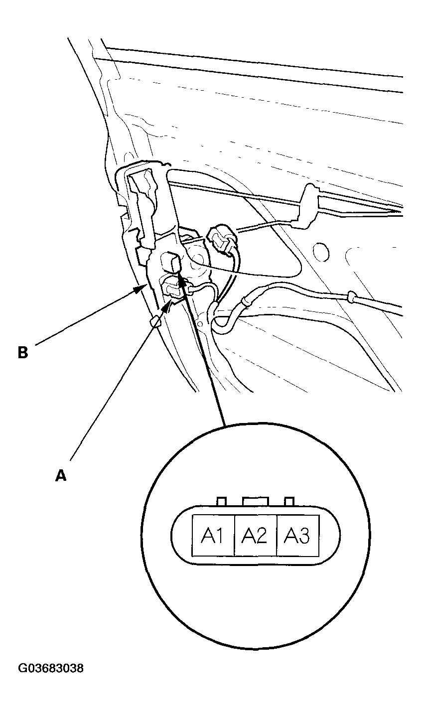 G03683038