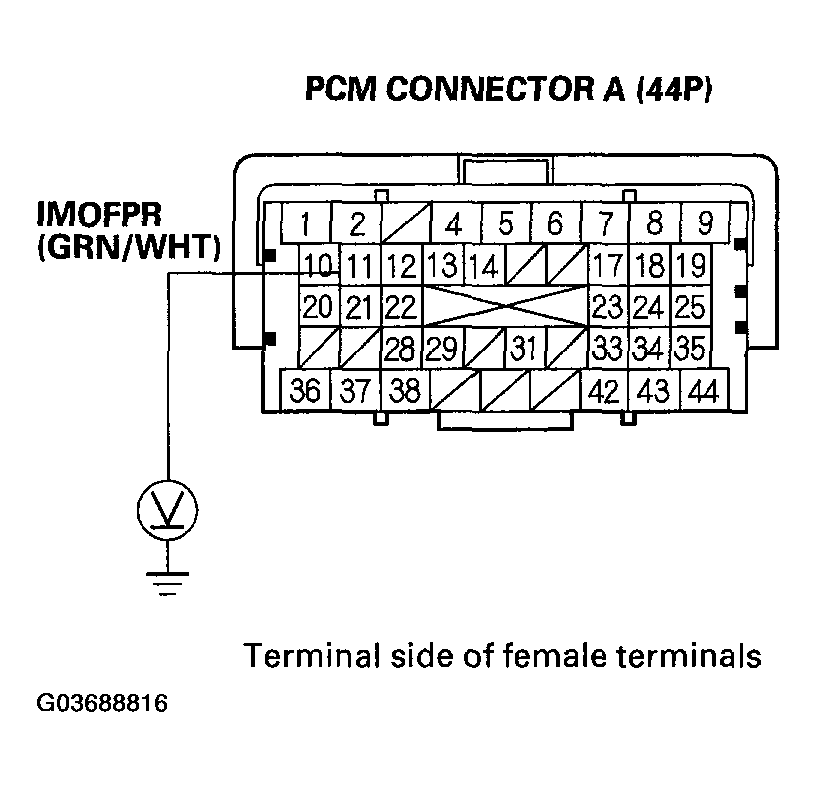G03688816