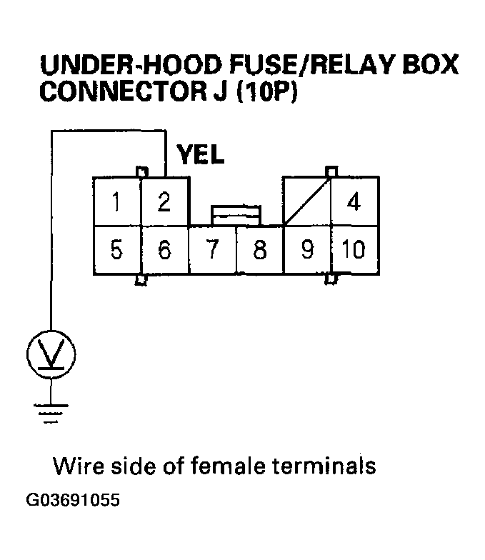 G03691055
