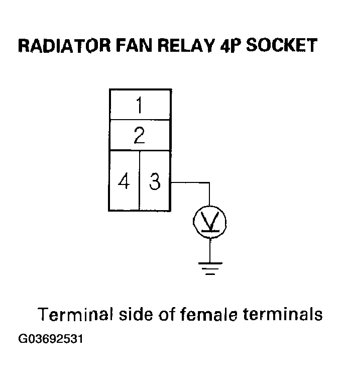 G03692531