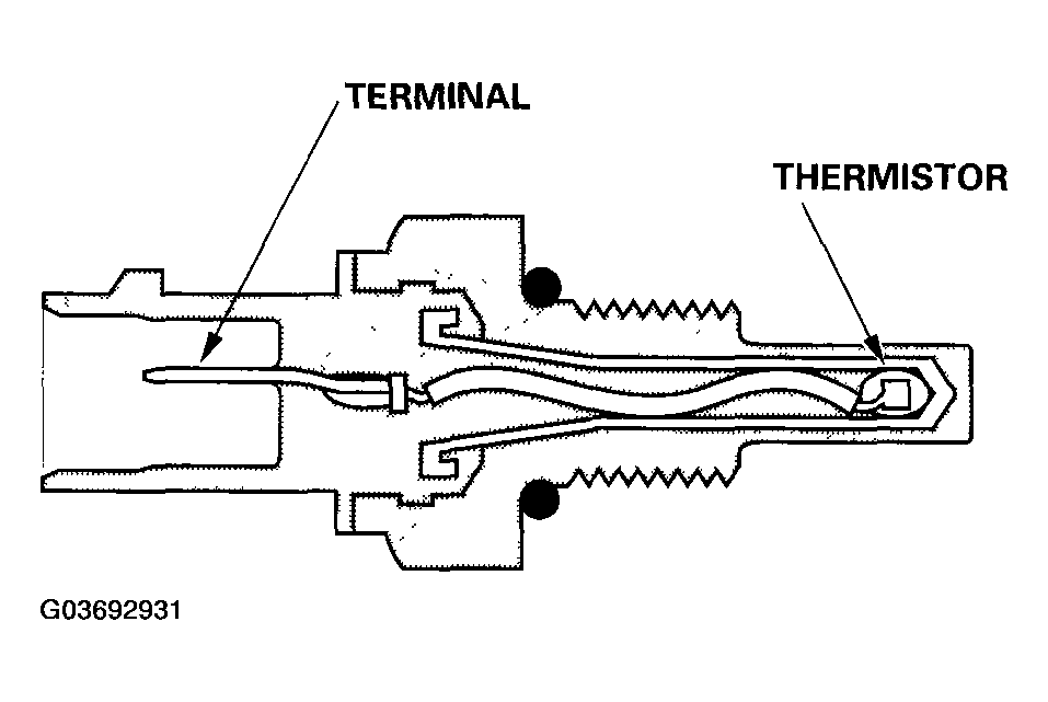 G03692931