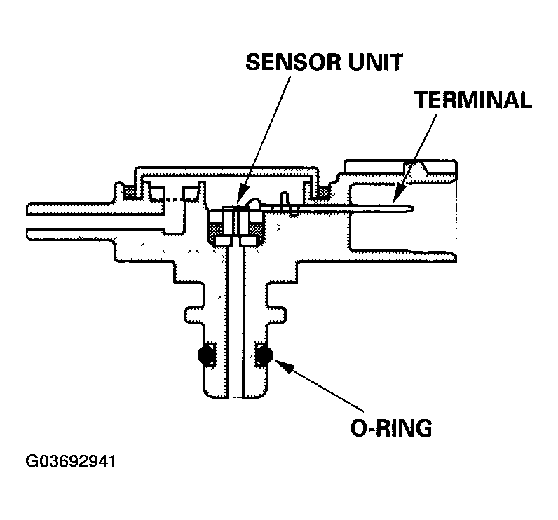 G03692941