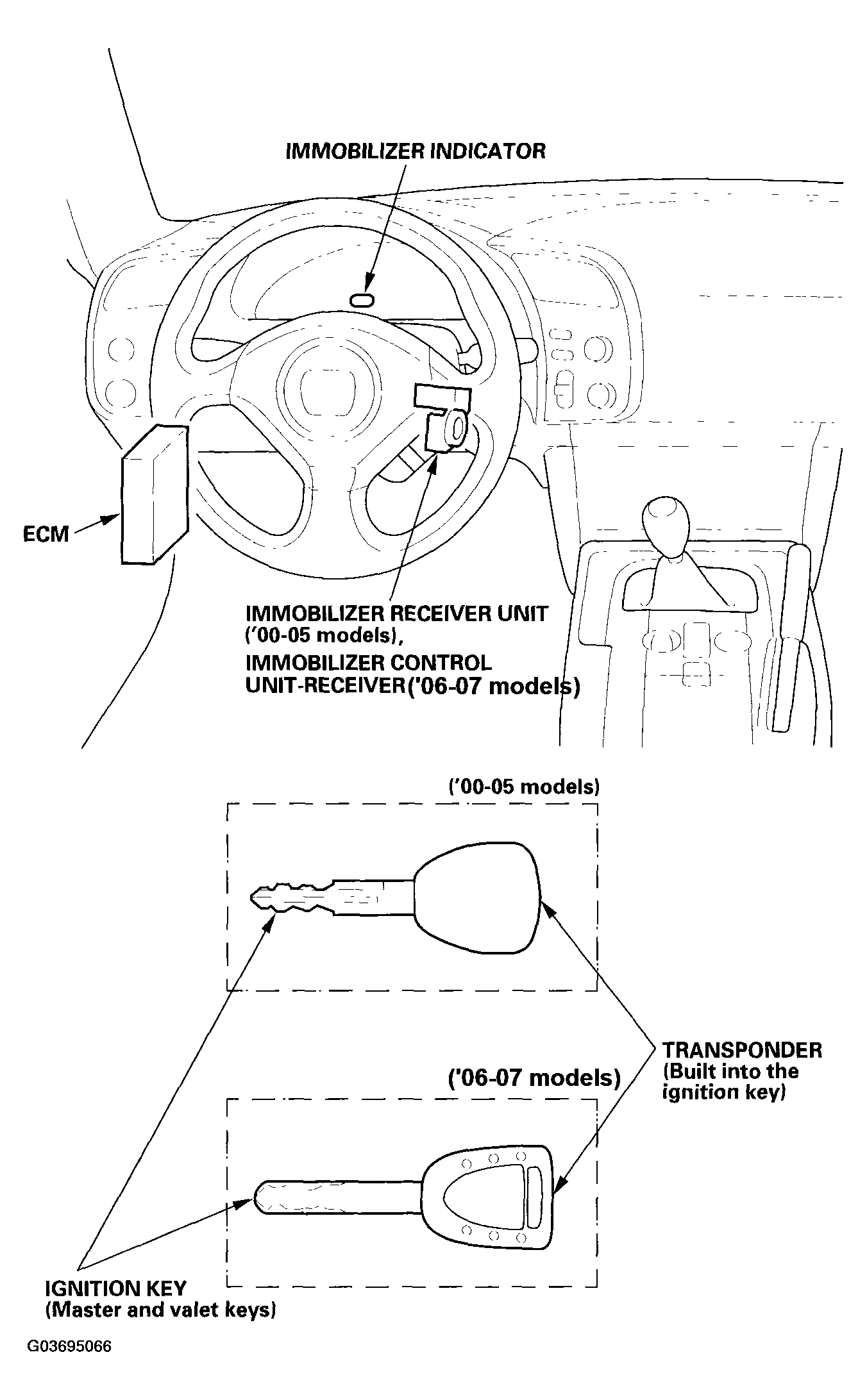 G03695066