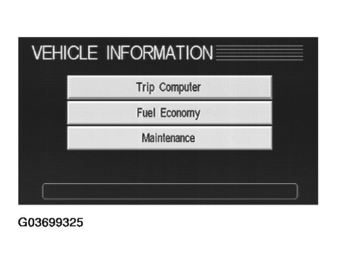 G03699325