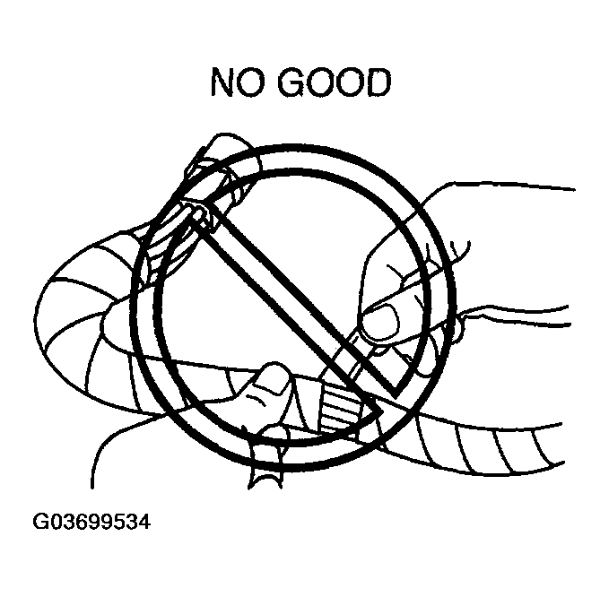 G03699534