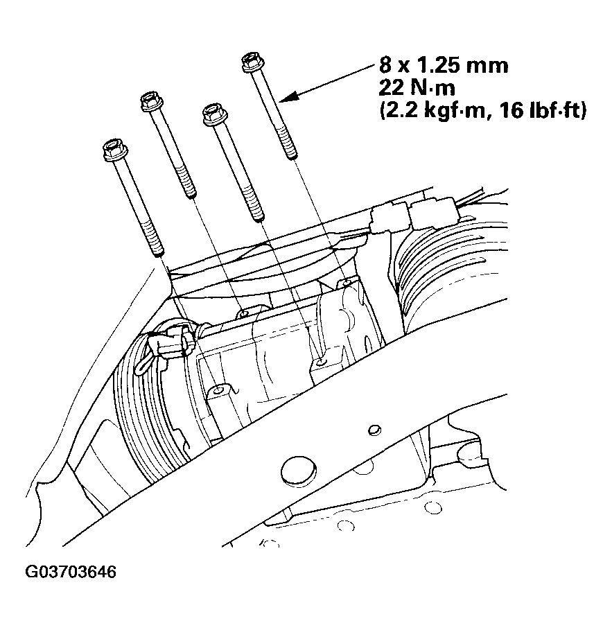 G03703646