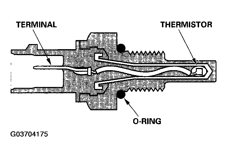 G03704175