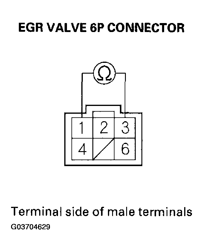 G03704629